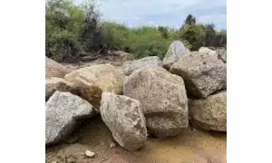 Mohave Gold Boulders